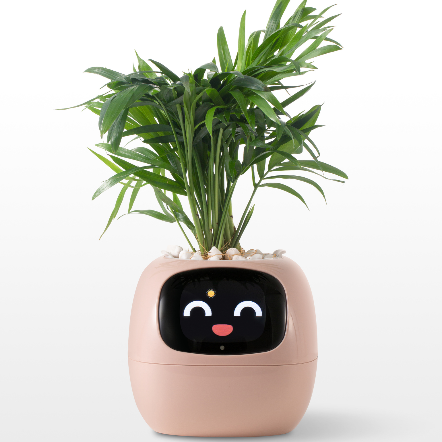 Smart Planter – AI Expressions & Sensors - NewGenCleanerz