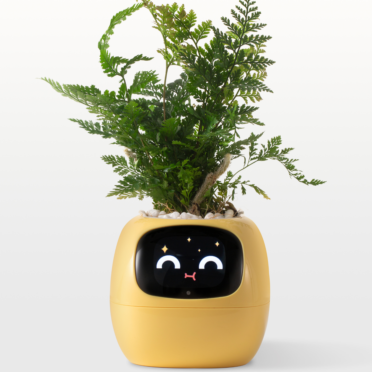 Smart Planter – AI Expressions & Sensors - NewGenCleanerz