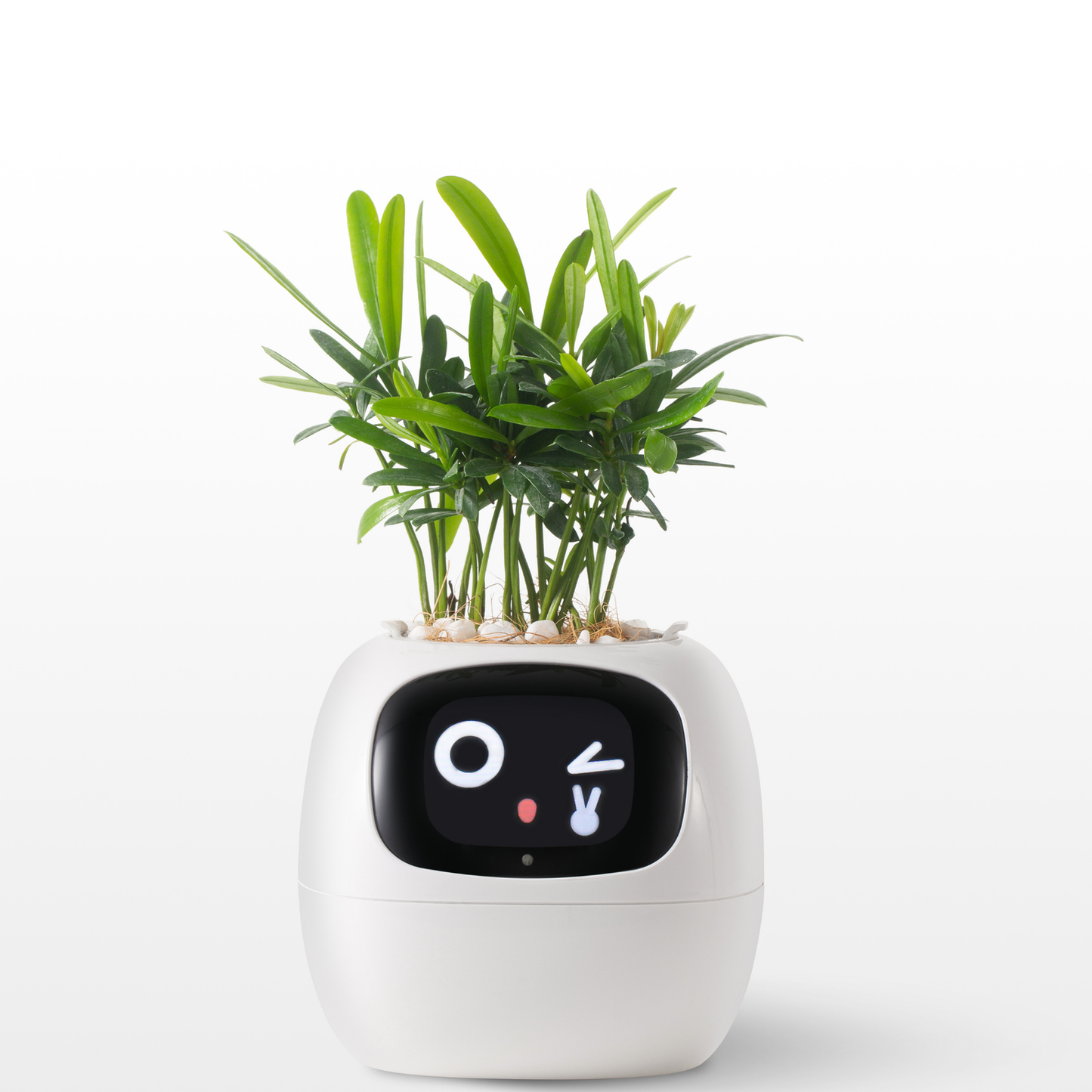 Smart Planter – AI Expressions & Sensors - NewGenCleanerz